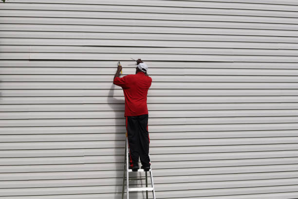 Custom Trim and Detailing for Siding in Boronda, CA